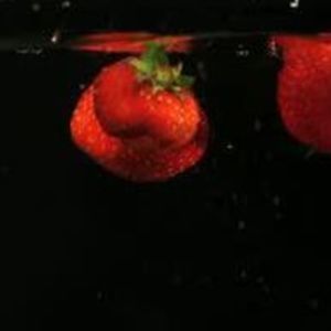 Meet your Posher, Rose